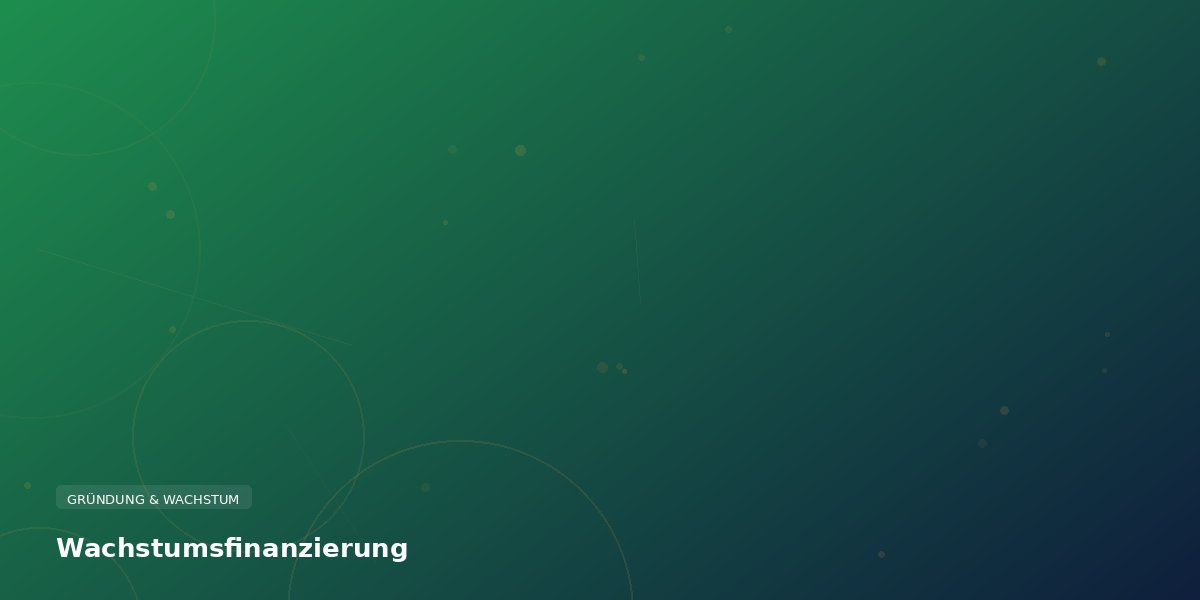 Wachstumsfinanzierung: KfW, Bankkredit oder Investor?